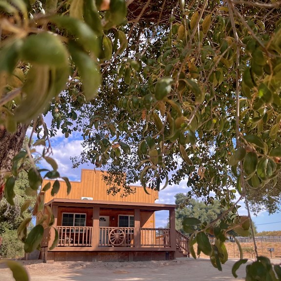 KOA Boulevard Bunkhouse