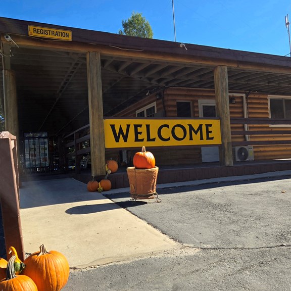 Fall Pumpkin Decor at KOA Boulevard 2024