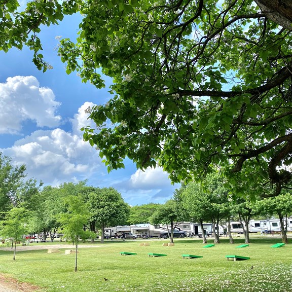 Corn Hole & Horseshoes
