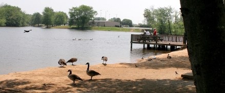 Basil Griffin Park