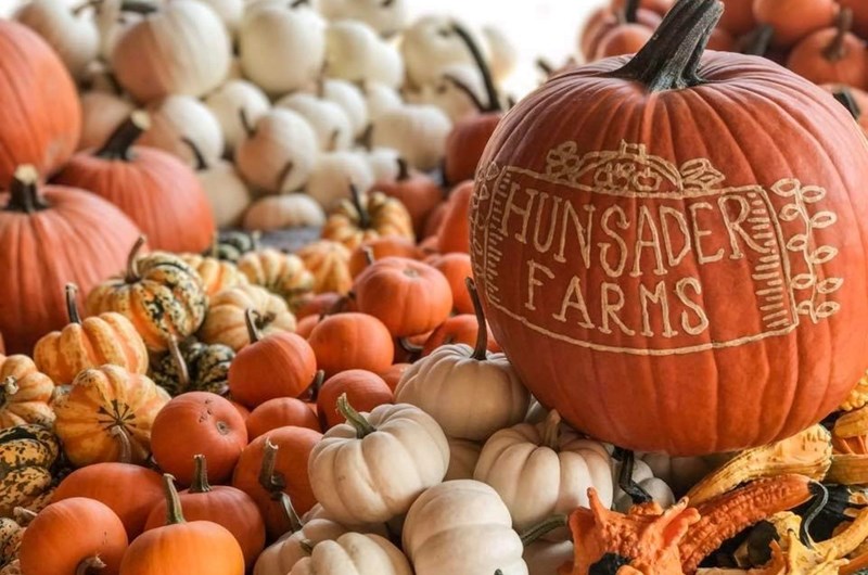 Pumpkin Festival 2026 Photo