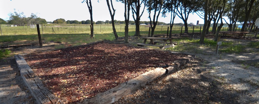 Camp under the shady oak trees on our large raised tent sites. Our tent sites are one of the closest areas in the campground to view the bison and buffalo.