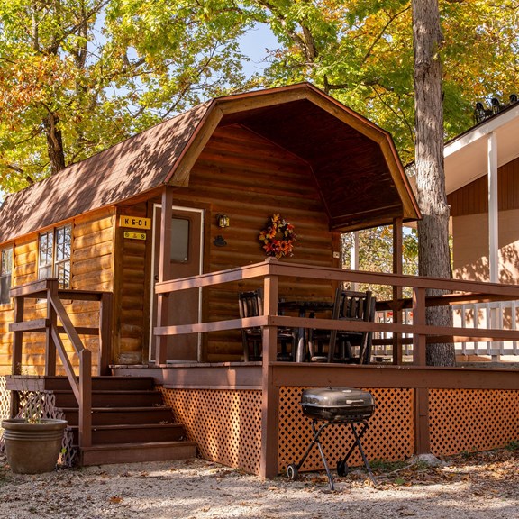 Studio Lodge Deluxe Cabin (1 Bedroom, 2 Bed Bunk, Kitchen, 1 Bathroom)