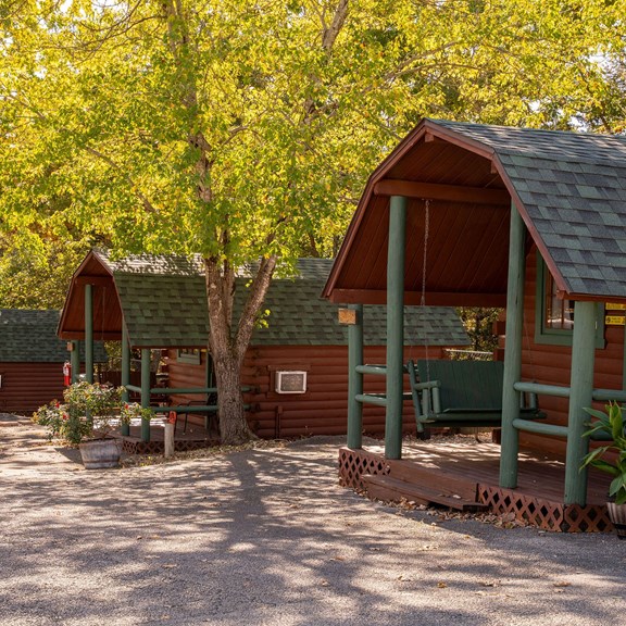 Camping Cabin (Single Room w/ 4 Beds, No Bathroom, Pet Friendly)