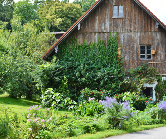 Old Deerfield Village