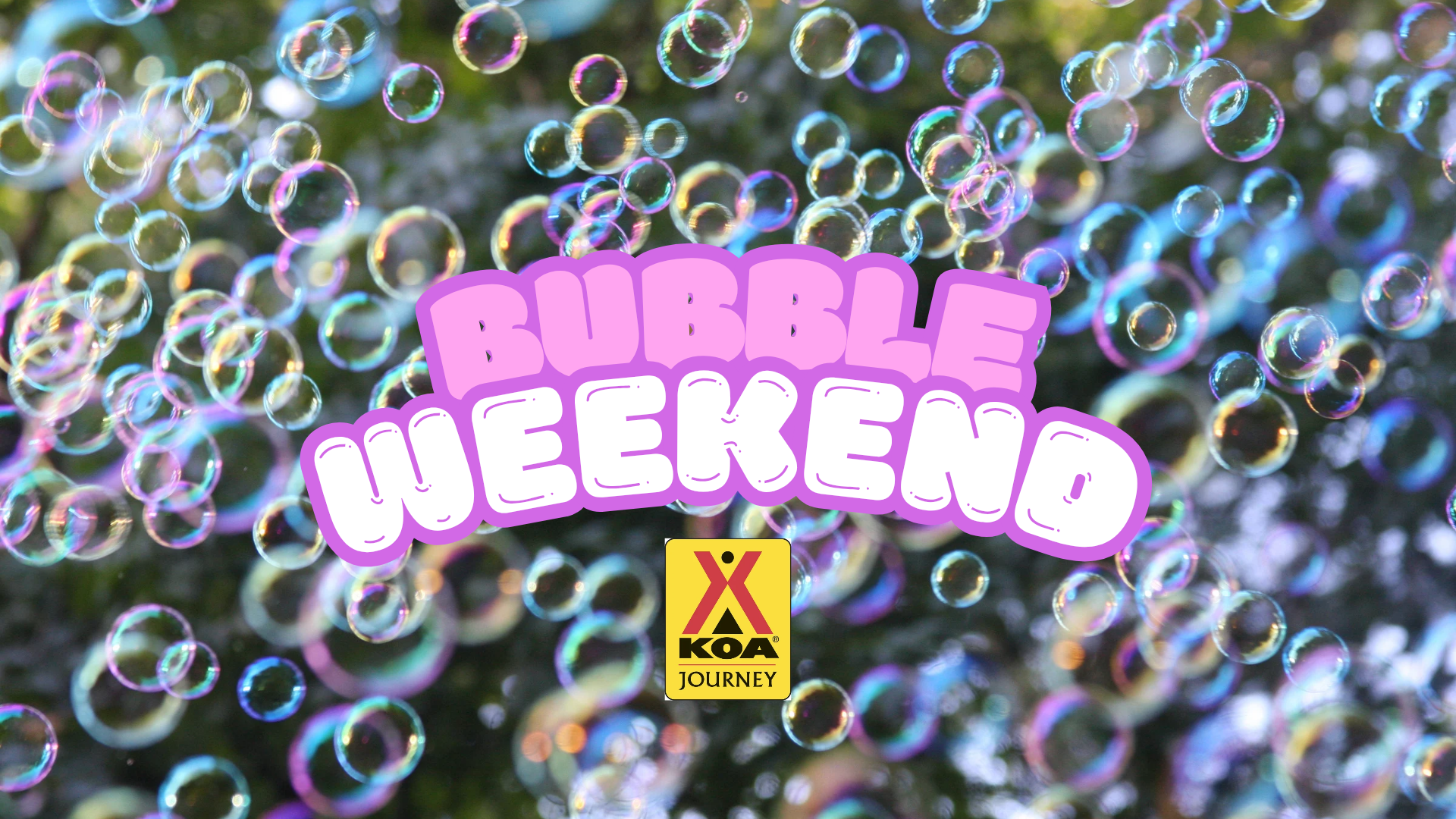 Bubble Weekend Photo