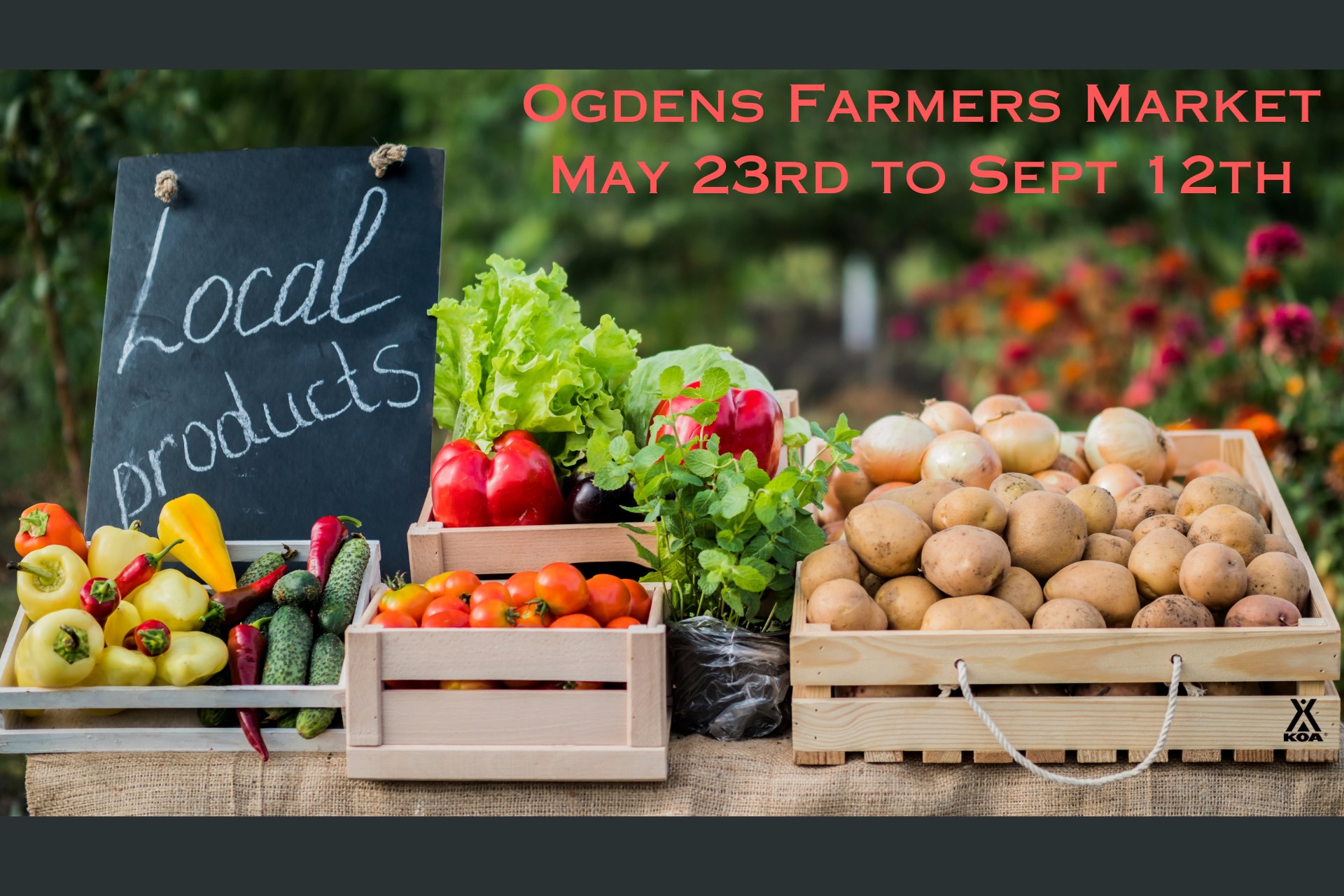 Summer Farmers Market Photo