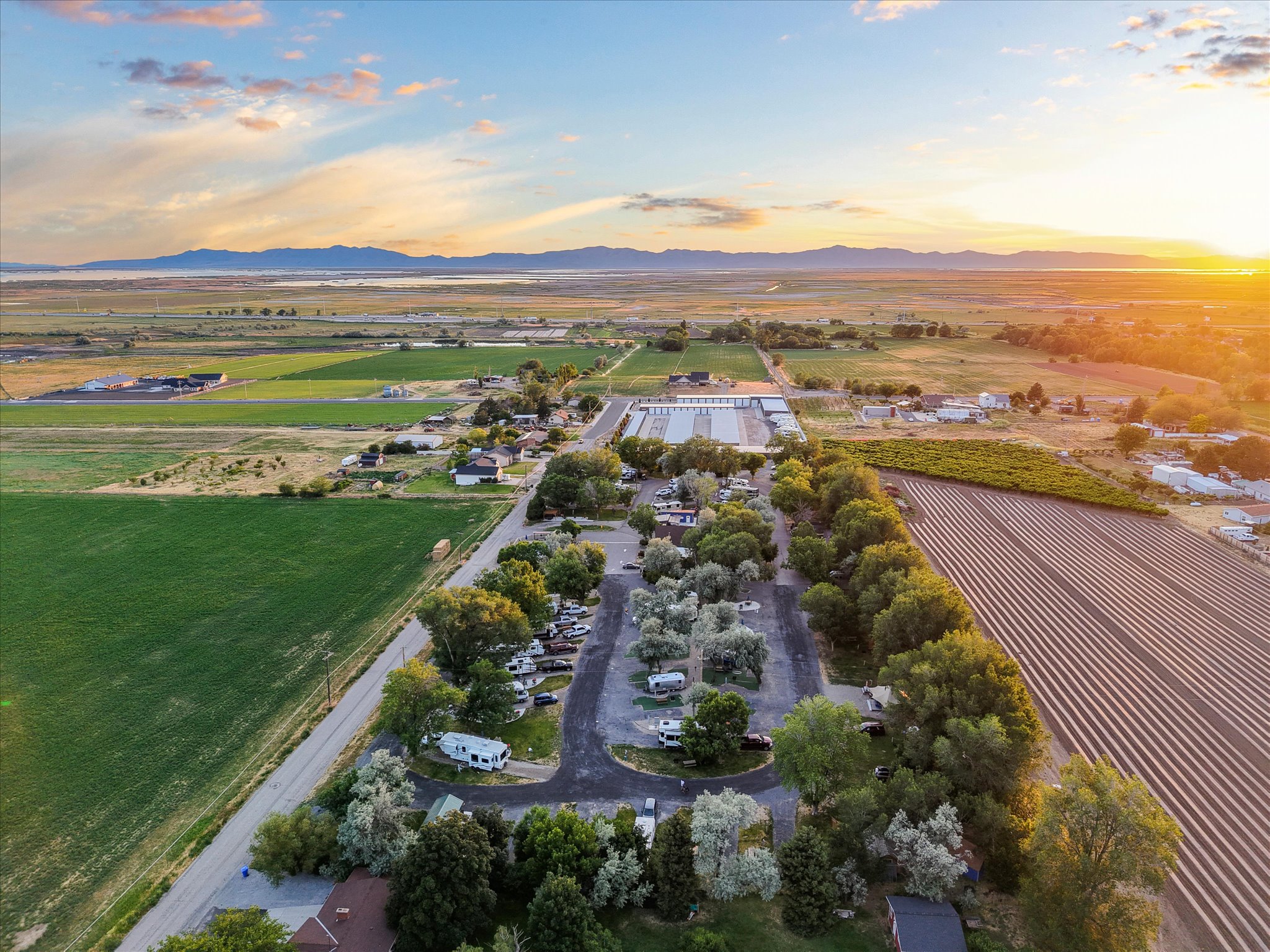 Bird Eye View