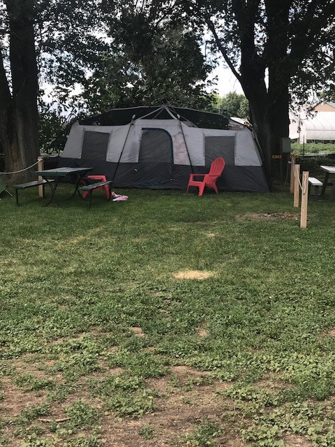 Tent site w/ Electricity- Large grassy site with shade
