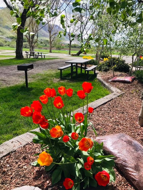 Springtime at the Brigham City / Perry South KOA