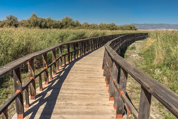 HR Frink Conservation Area and Outdoor Education Centre