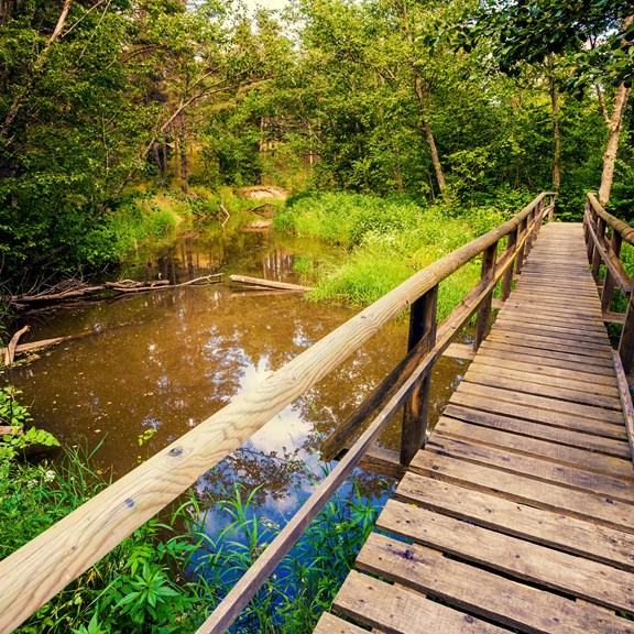 Proctor Park Conservation Area