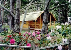 2 Room Camping Cabin at Brighton / 401 KOA Holiday