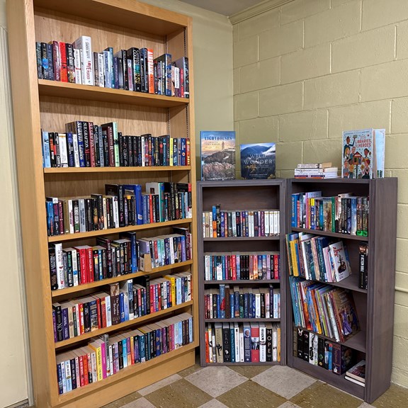 Little Free Library