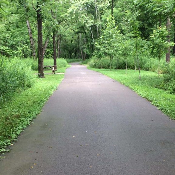 Salt Creek Trail