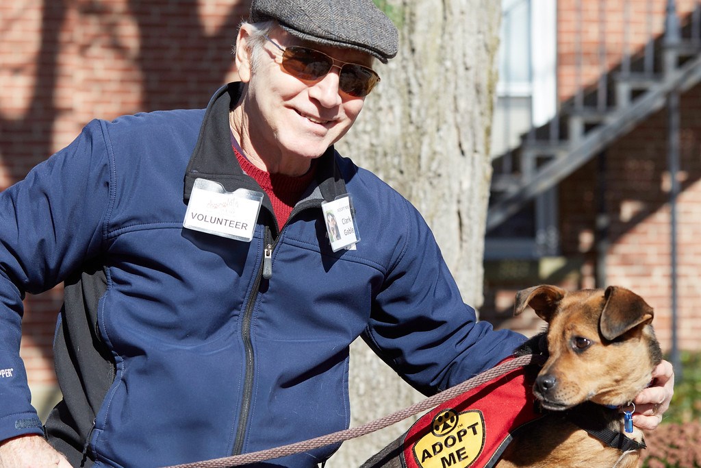 Brown County Humane Society Chocolate Walk Photo
