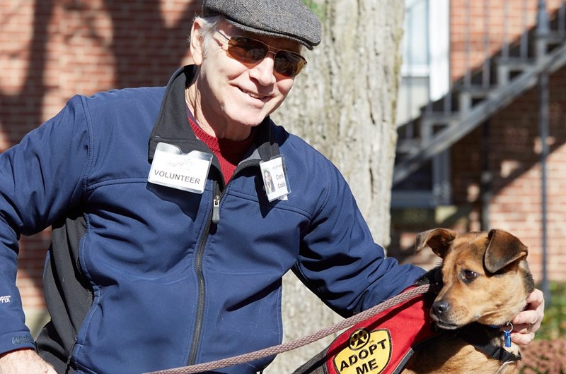 Brown County Humane Society Chocolate Walk Photo