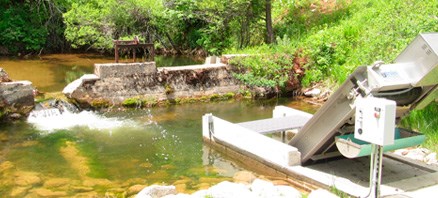 Story Fish Hatchery