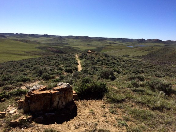 Dry Creek Petrified Tree Environmental Education Area