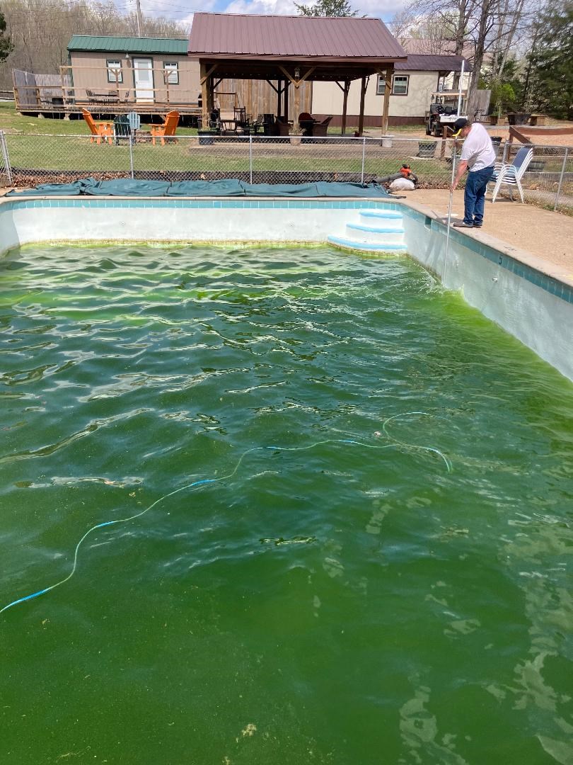 Pool Opening - Green now, but soon it will be blue!