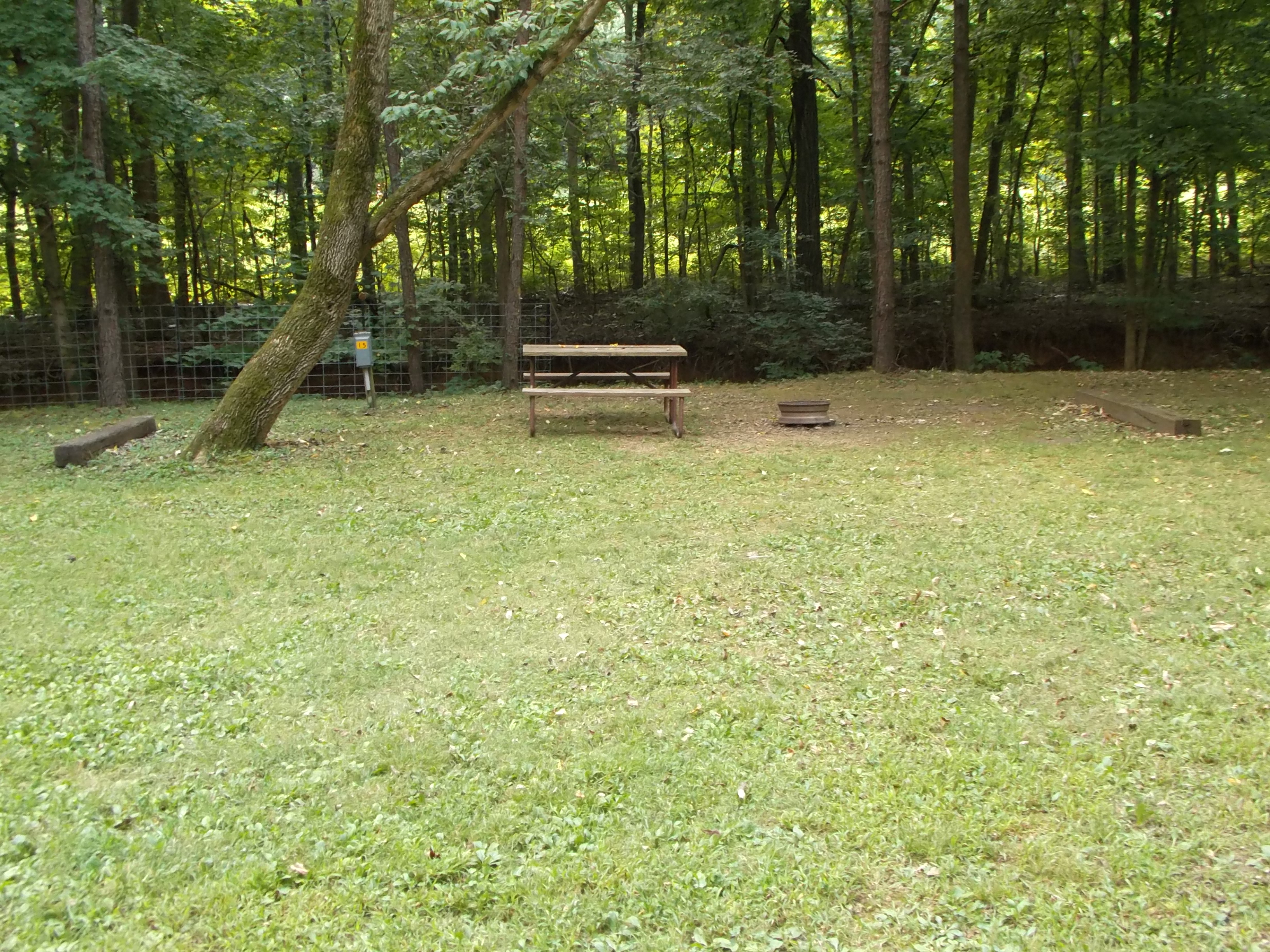 Tent Site with Electric