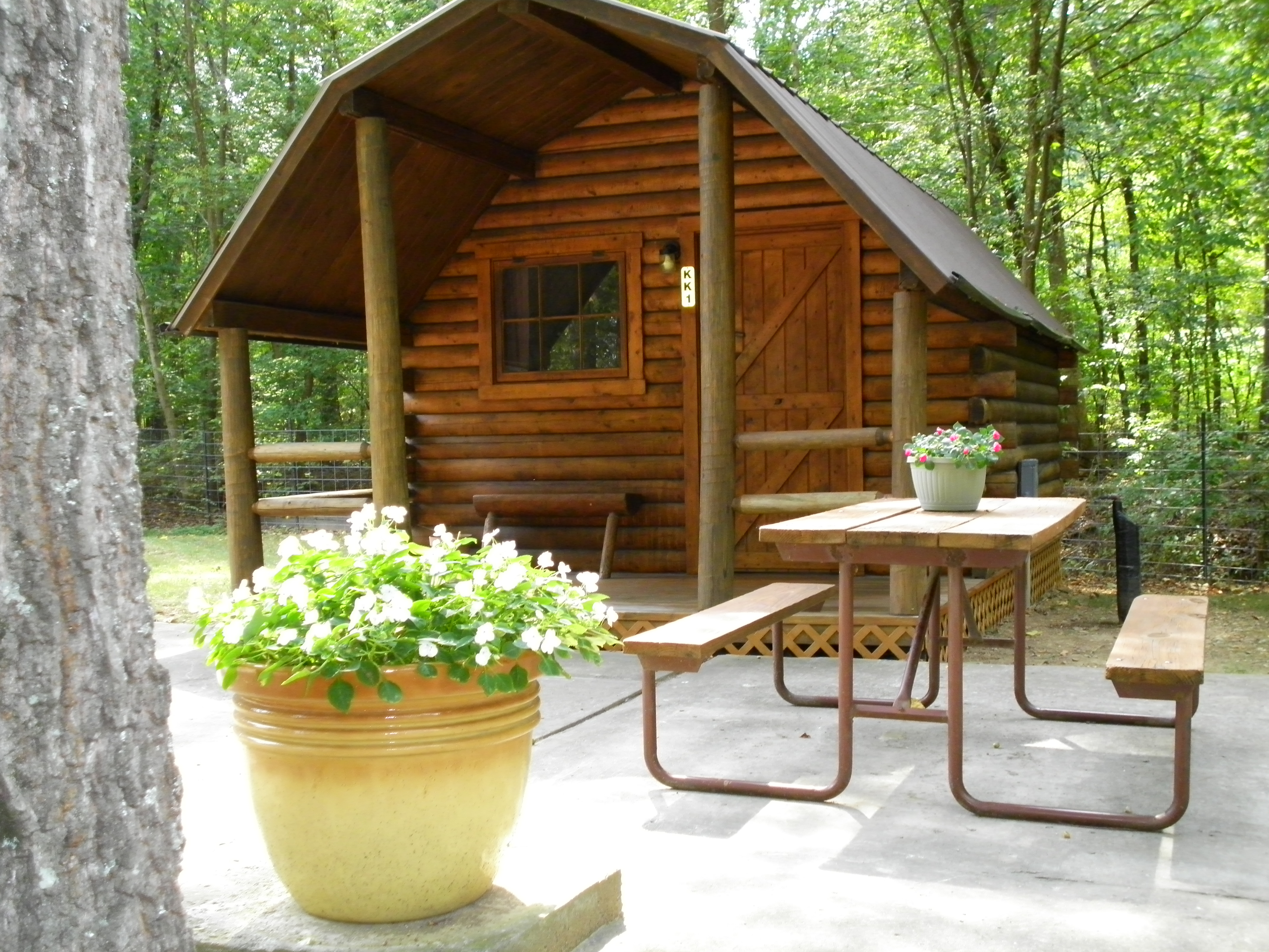 Camping Cabin