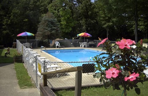 OUR SWIMMING POOL AWAITS YOU!