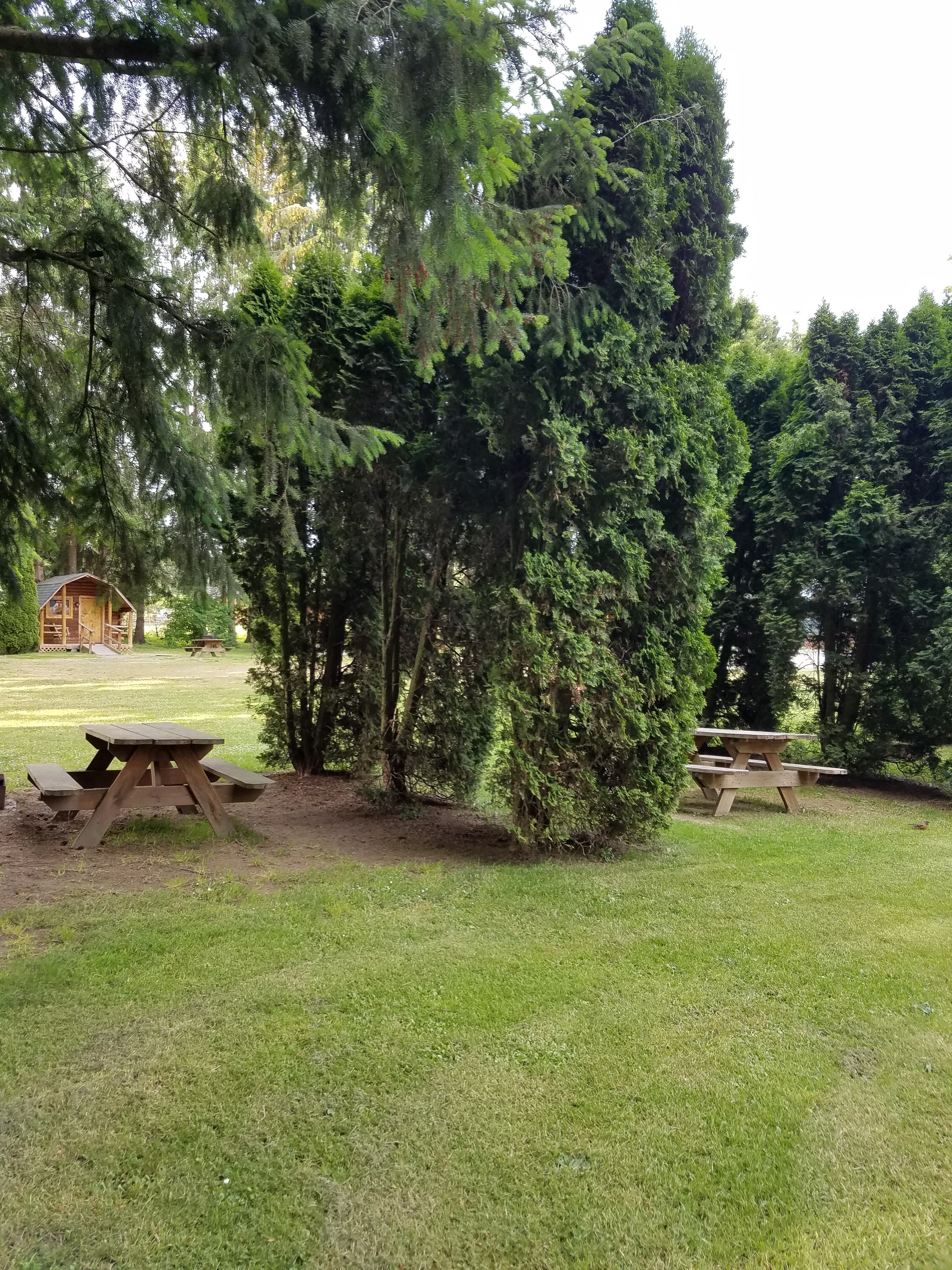 Tent Site