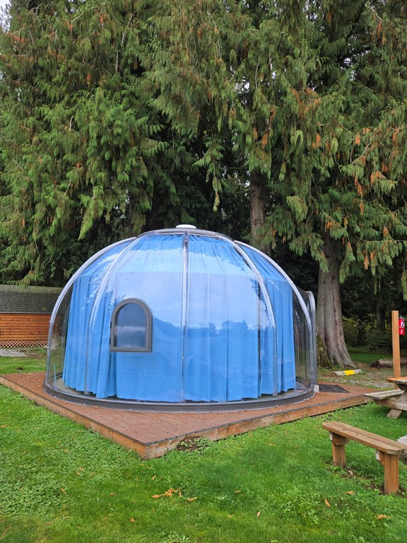Welcome to the Burlington / Anacortes KOA Holiday