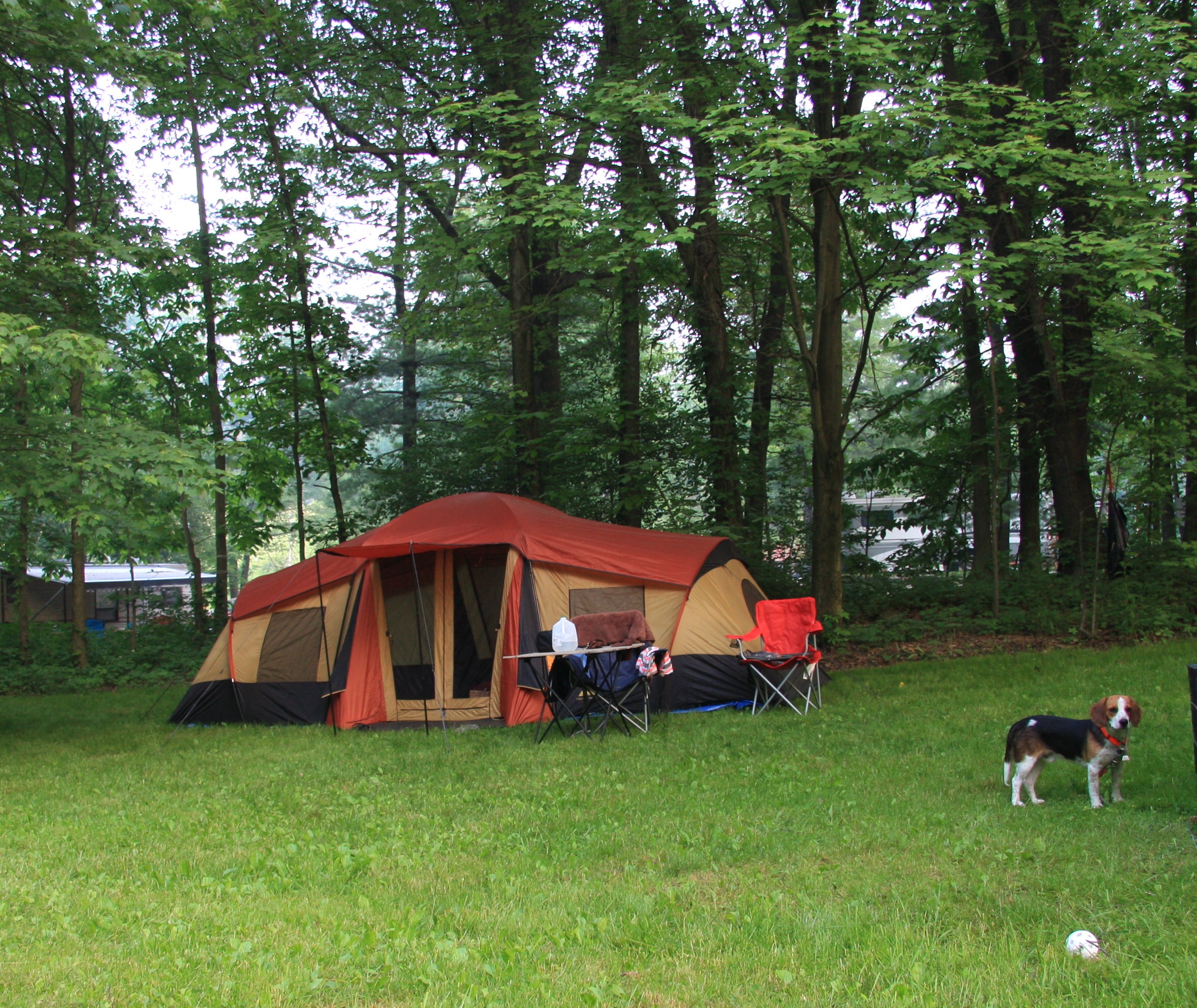 No Hook Up Tent Site
