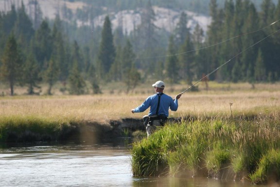 Fishing