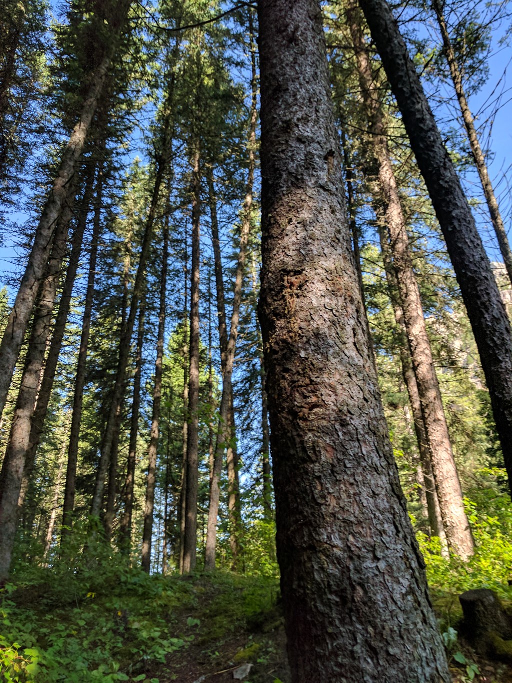 SUSTAINABILITY WHILE HIKING