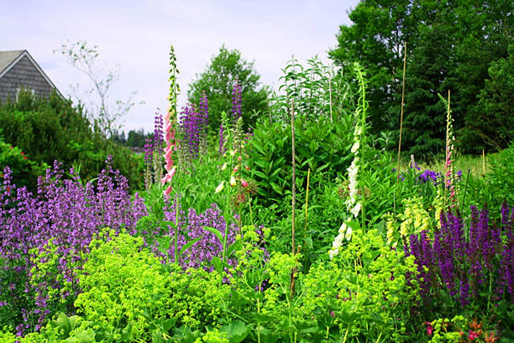 KOA Campground of Future Award! - Naturally Butte Program