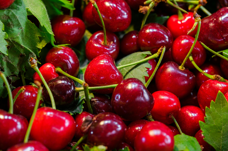 National Cherry Festival Photo
