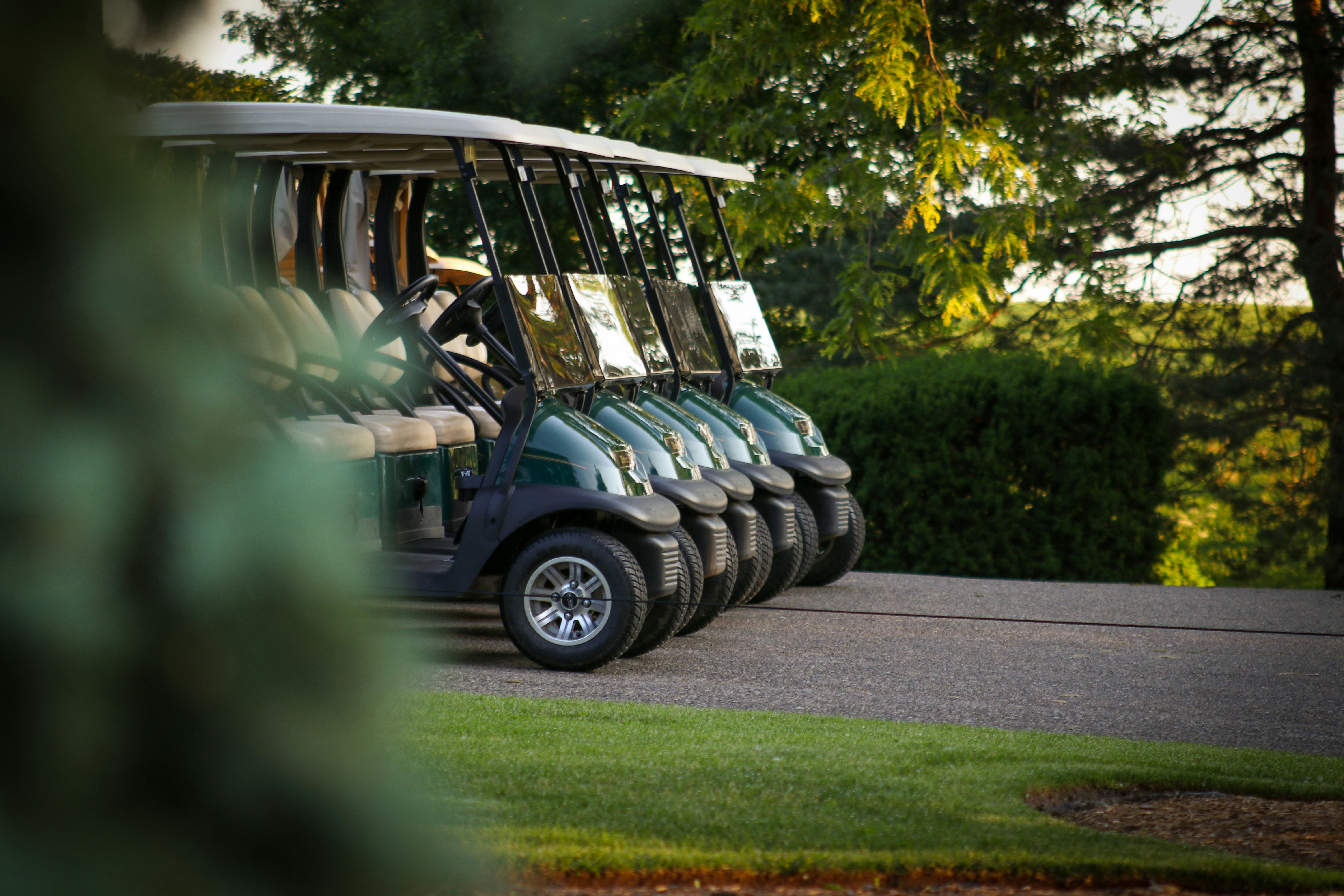 Golf Cart Rentals