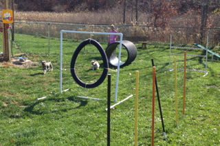 KAMP K9 PET PLAYGROUND