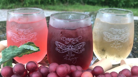 Wine Trail