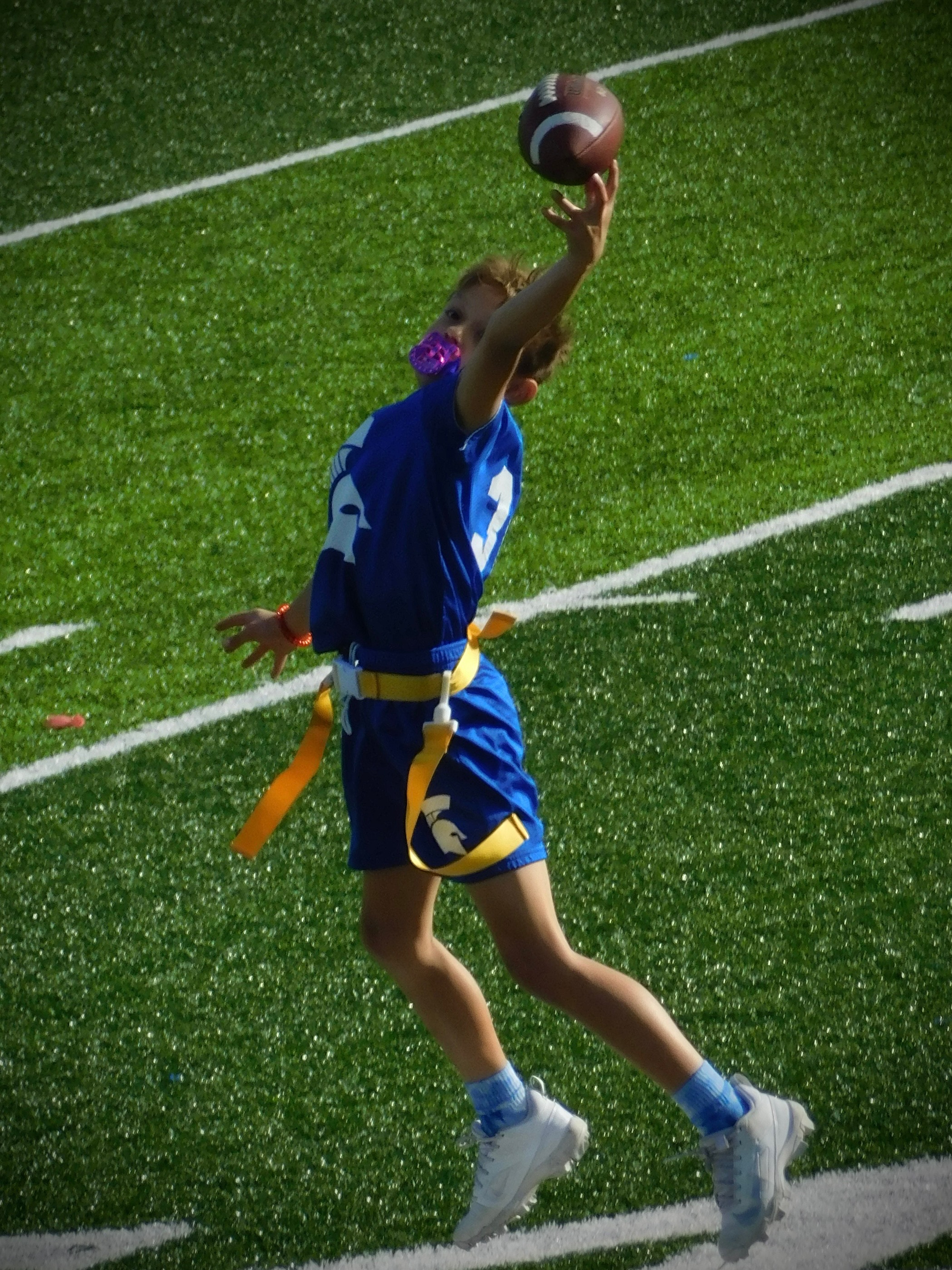 PRO FOOTBALL HOF FESTIVAL (Canton, OH) Photo
