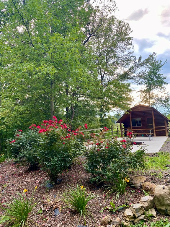 Welcome to the Canton / East Sparta KOA Holiday