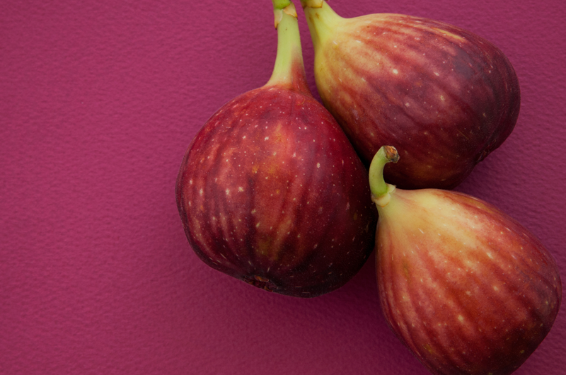 Ocracoke Fig Festival Photo