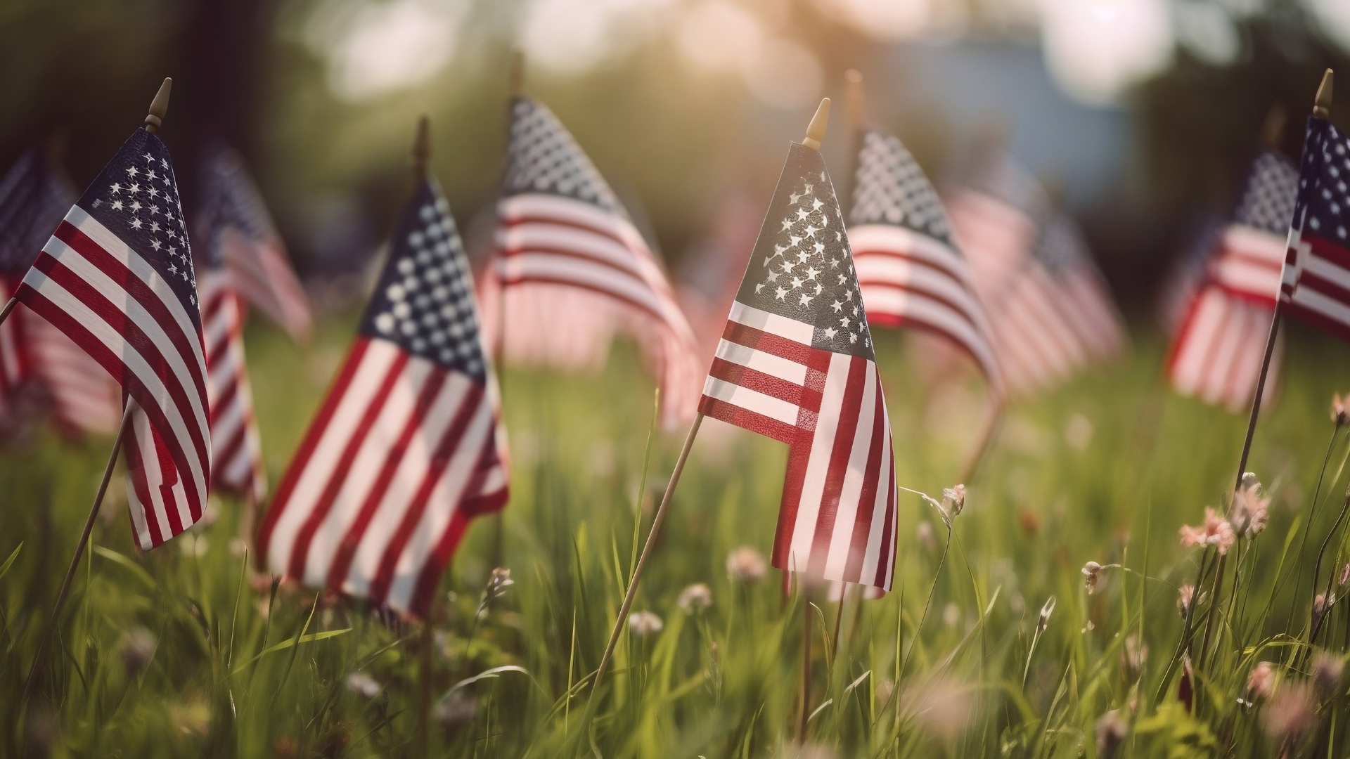 Veterans Day Weekend Photo