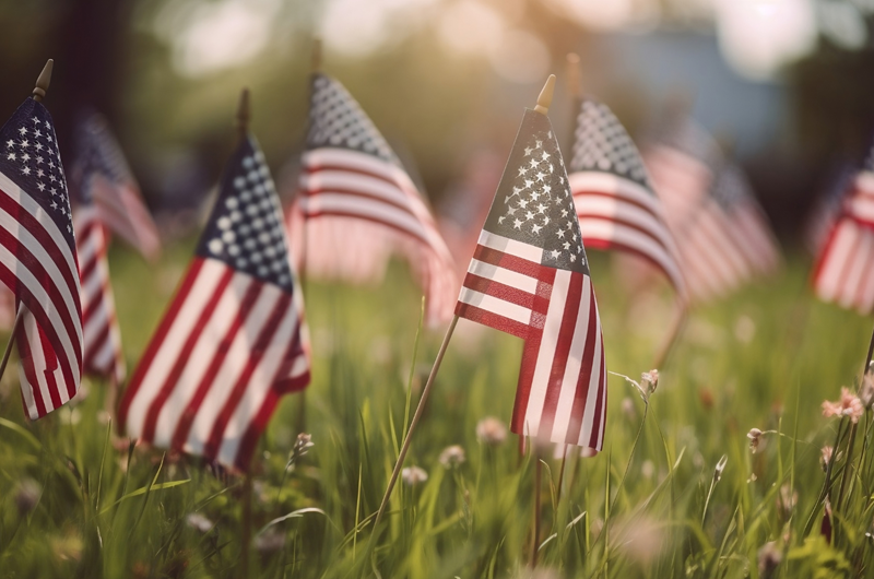 Veterans Day Weekend Photo