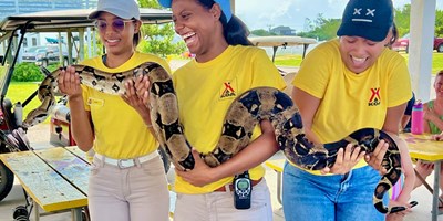 Snakes, Lizards & Frogs - Oh My!