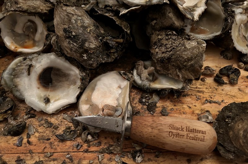 Shuck Hatteras V Oyster Festival Photo
