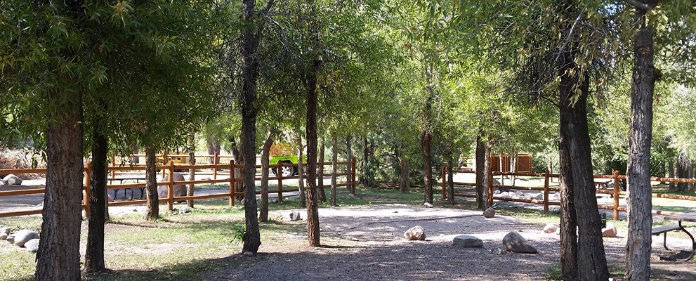 Large off-river tent site-no hookups