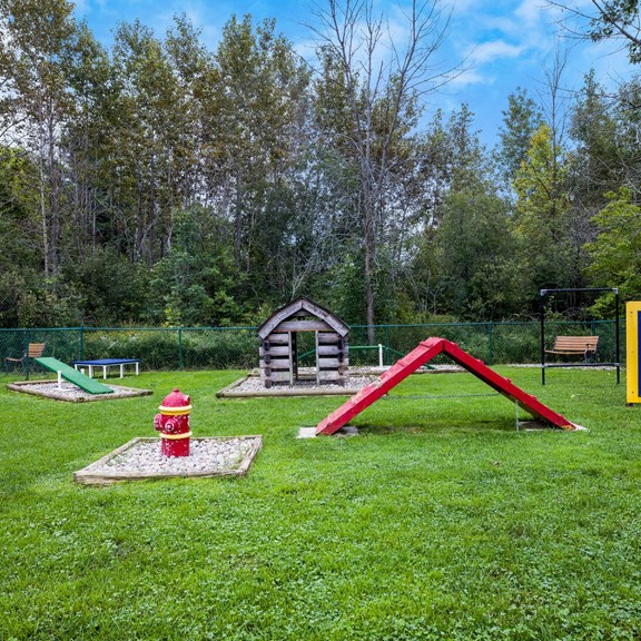 Kamp K-9 Dog Park