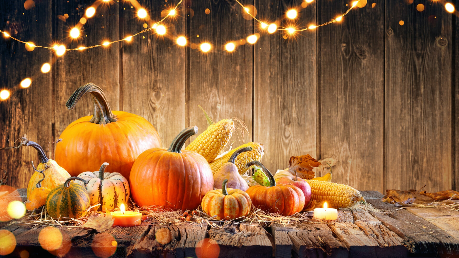 Thanksgiving (Halloween #3) Photo
