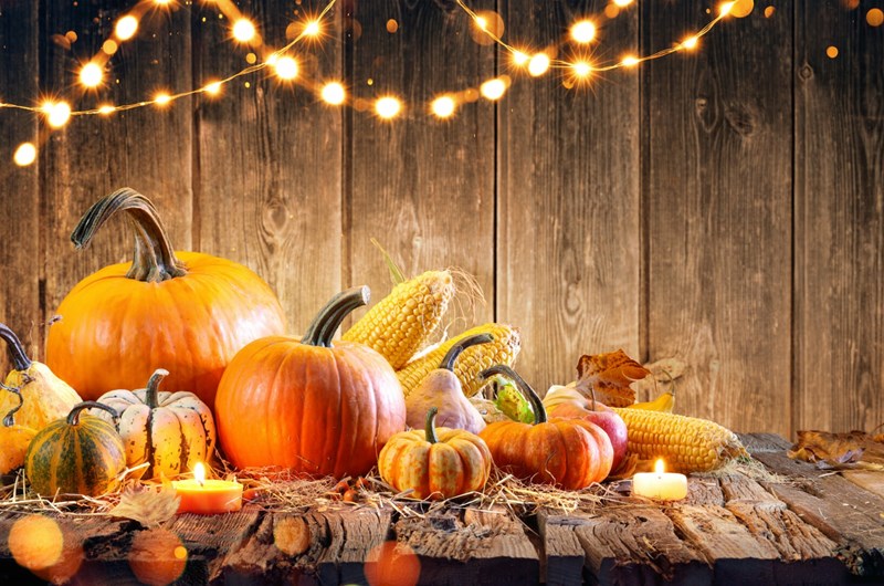 Thanksgiving (Halloween #3) Photo