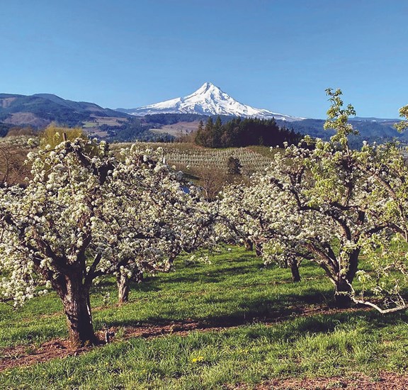 Hood River Fruit Loop