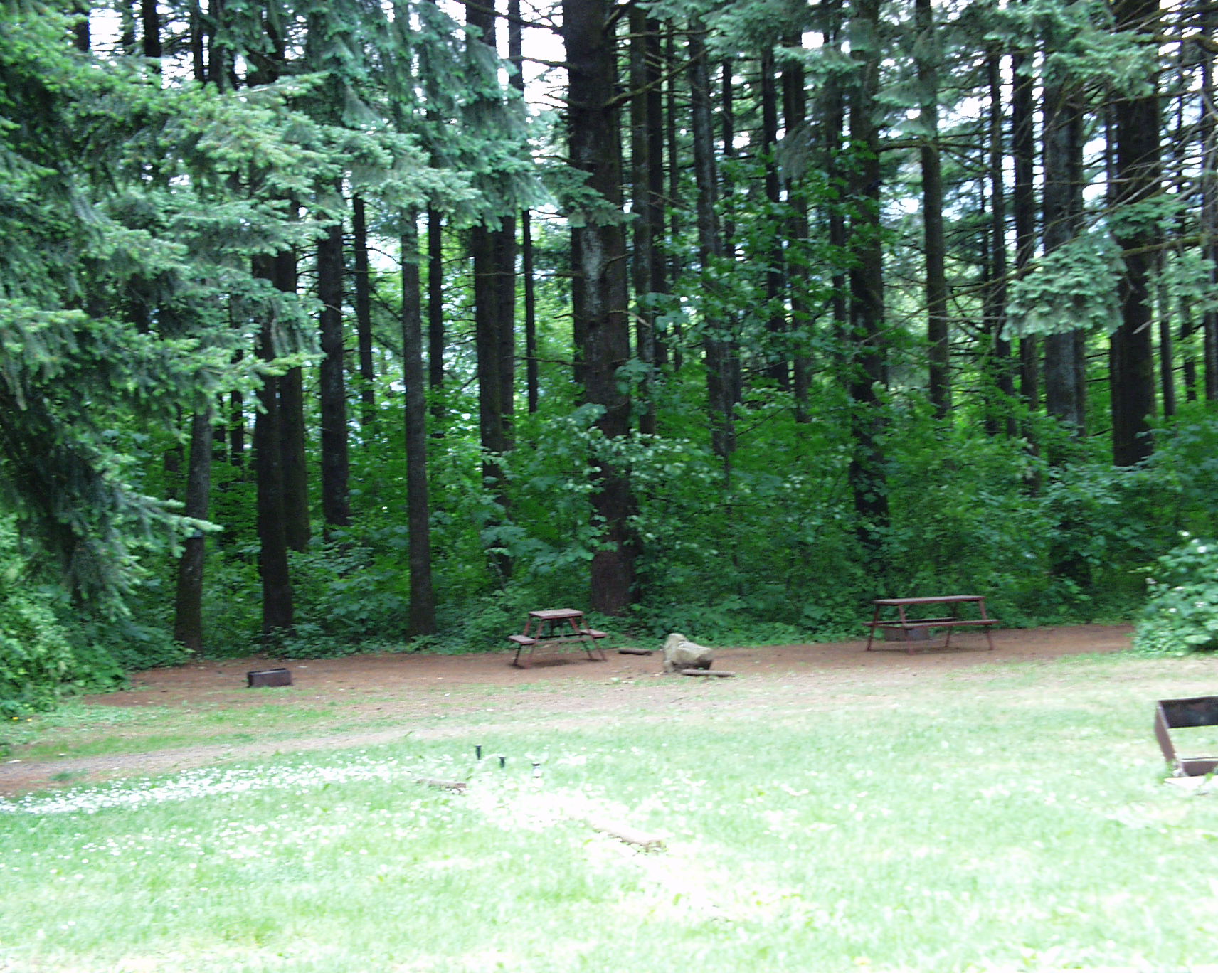 Tent Site
